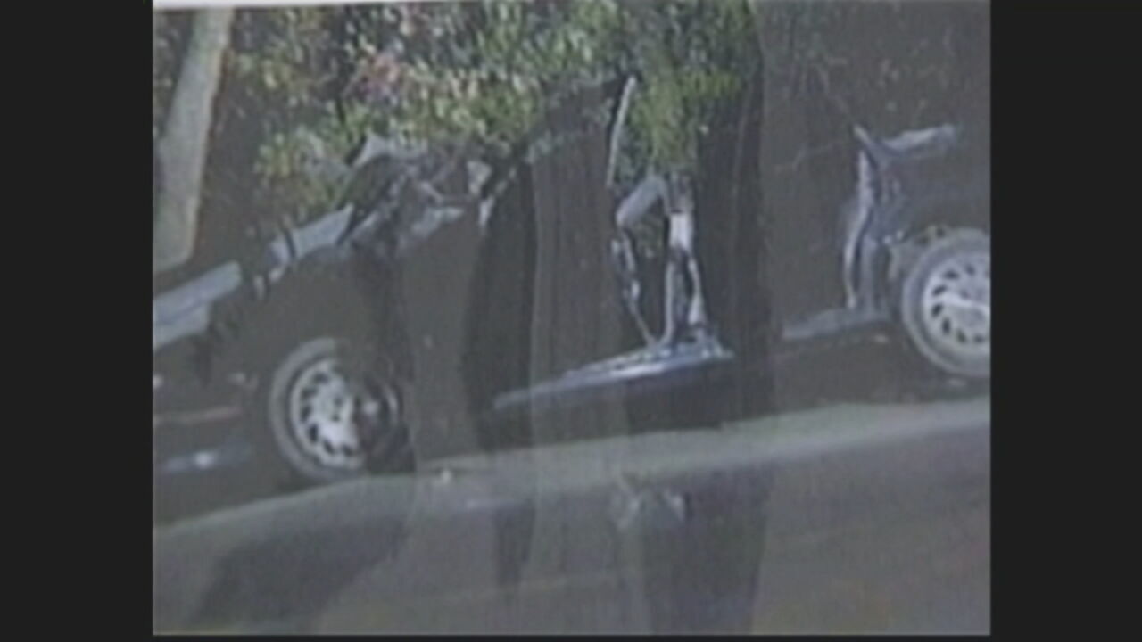 Scene of Zack Hornback's car crash